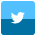 Twitter Icon