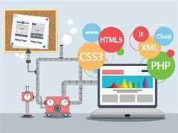 Why Do I Need Customized Operations Management Software?
