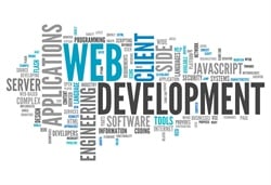 5 Pieces of Information You Should Have for Your Software Team