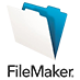 FileMaker Pro Developer